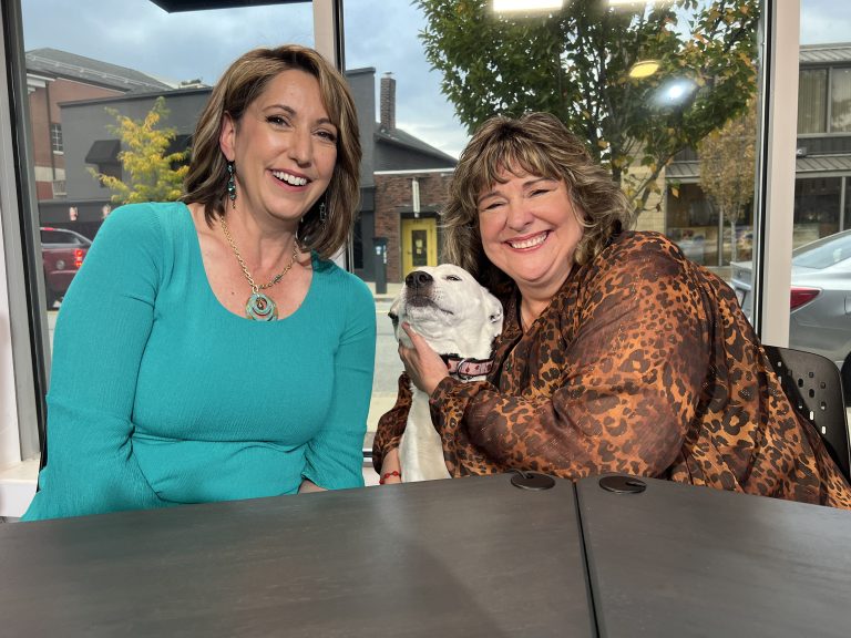 Rise, Heal, and Grow (Episode 13) with Leah M Hill featuring Patti Anastasia